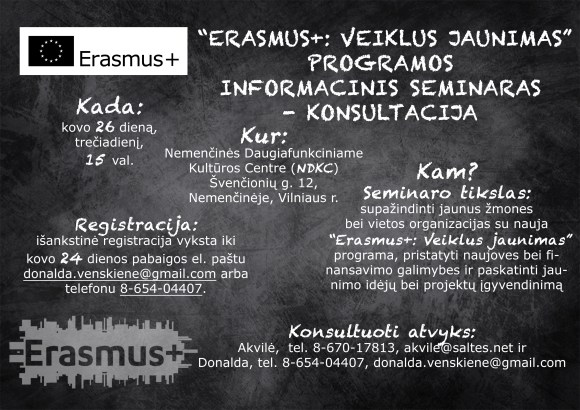 Konsultacinis seminaras Nemenčinėje apie naują jaunimo programą